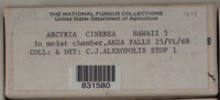 Image Associated With the Occurence